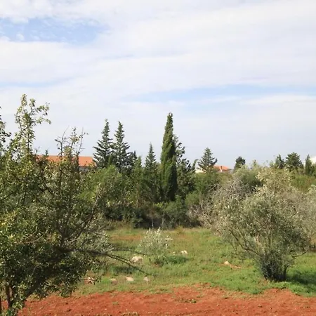 Appartement With A Parking Space Guduce, - 8492 *